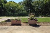 unity park planters 23