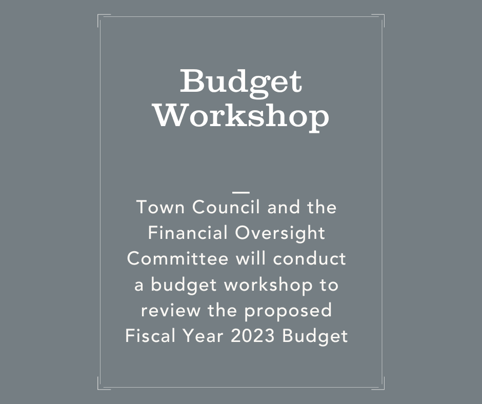 Budget Workshop