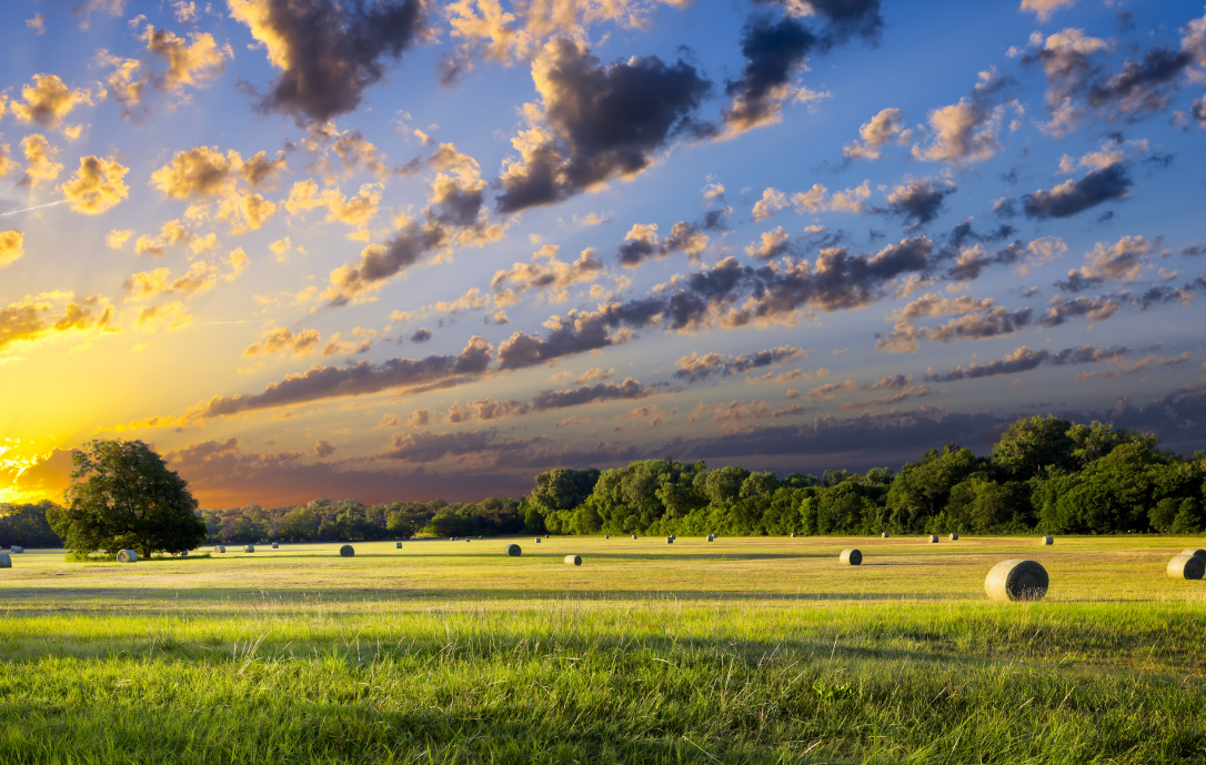 Comp Plan Advisory Committee Survey Graphic.jpg