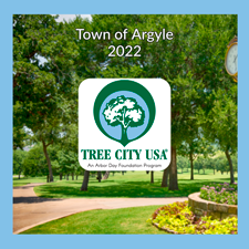 Argyle-Tree-City-2022-web-2